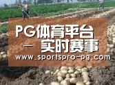种植基地八