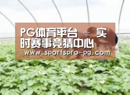 种植基地三