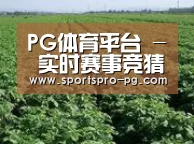 种植基地五
