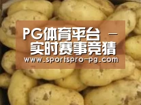 产品展示标题6