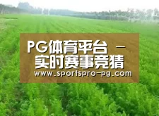 种植基地四