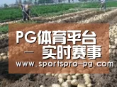 种植基地七(图1)