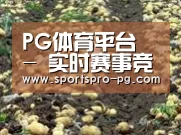 种植基地七