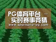 种植基地六