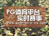 种植基地八(图1)