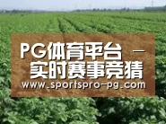 种植基地五(图1)