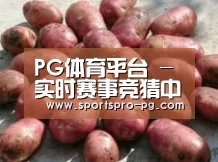 产品展示标题5(图1)