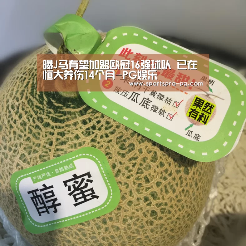 曝J马有望加盟欧冠16强球队 已在恒大养伤14个月-PG娱乐(图1) PG娱乐
