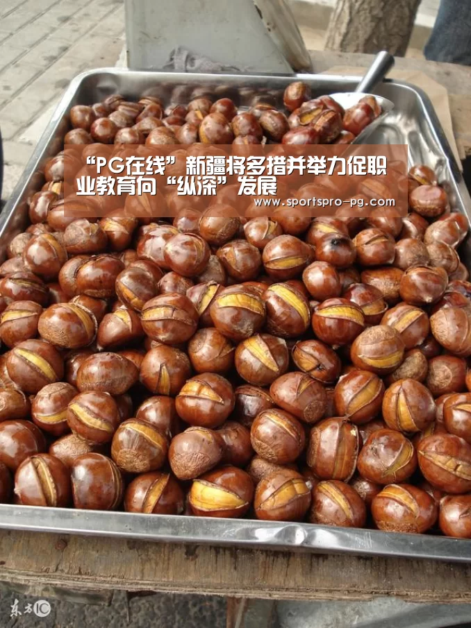 “PG在线”新疆将多措并举力促职业教育向“纵深”发展(图1) PG亚洲体育