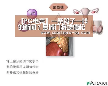 【PG电竞】一条段子一样的新闻?曼城门将埃德松脱衣服被手套卡住了(图3) PG亚洲体育