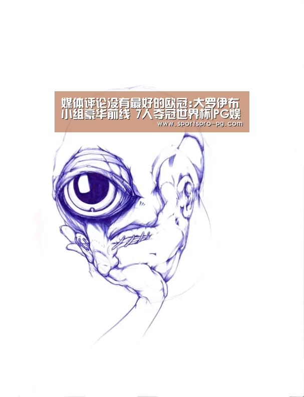 媒体评论没有最好的欧冠:大罗伊布小组豪华前线 7人夺冠世界杯|PG娱乐(图1) PG娱乐