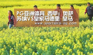 PG电竞