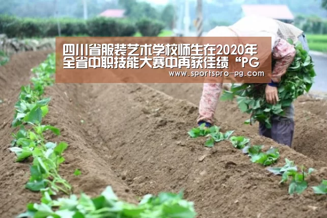 四川省服装艺术学校师生在2020年全省中职技能大赛中再获佳绩“PG亚洲体育”(图4) PG娱乐