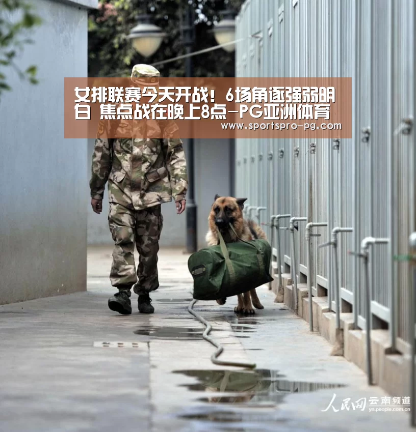 PG娱乐